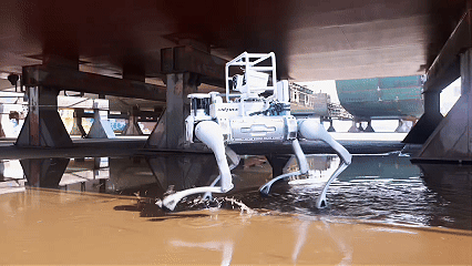 涉水.gif